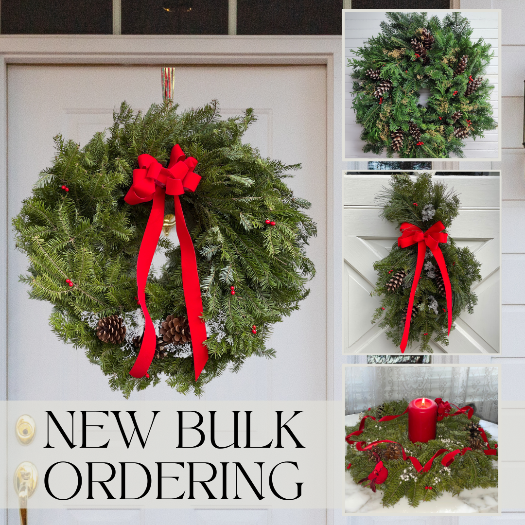 Bulk Balsam Items Available for Pre-Order